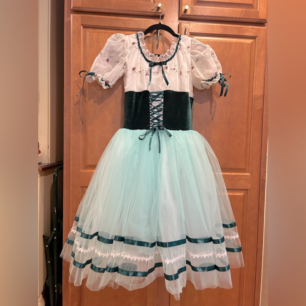 Ballet Tutu Skirt Tulle Professional Costume Performance Dress, size M